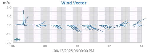 Wind Vector